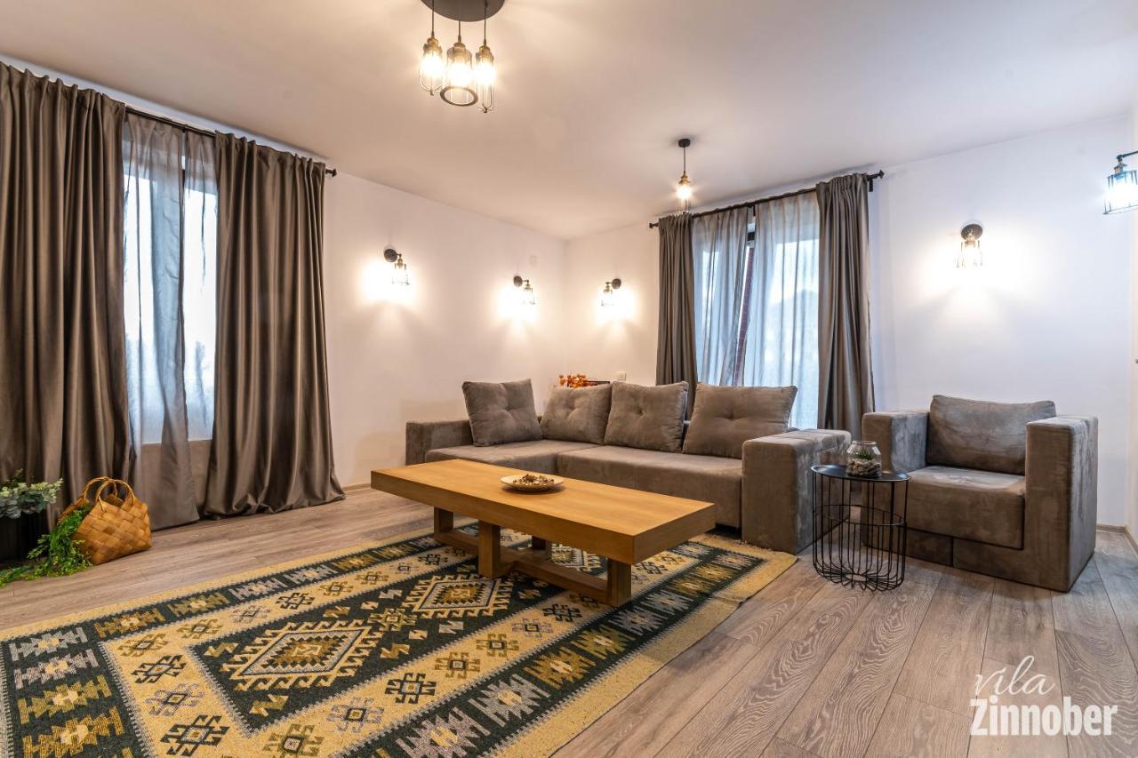 Vila Zinnober ブラショフ エクステリア 写真