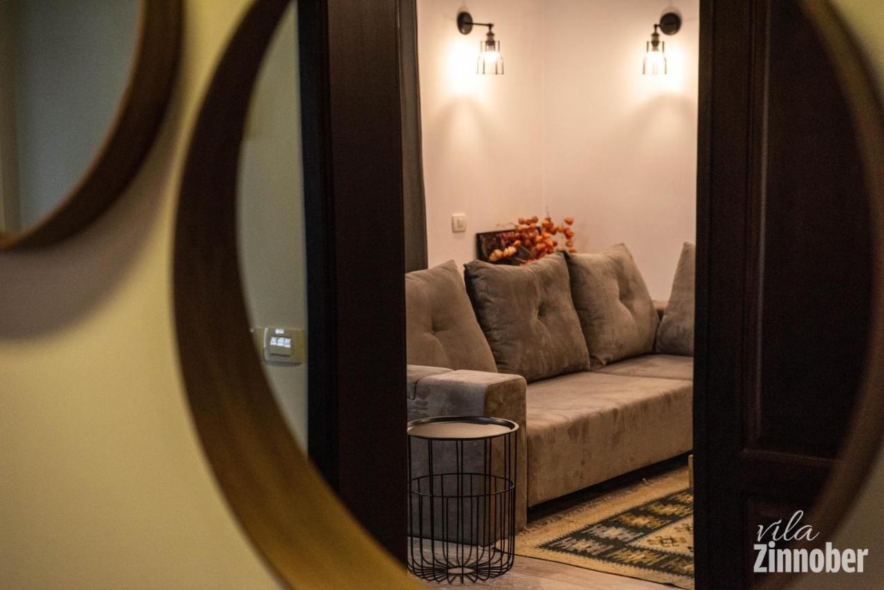 Vila Zinnober ブラショフ エクステリア 写真