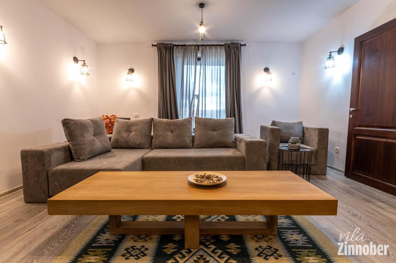 Vila Zinnober ブラショフ エクステリア 写真