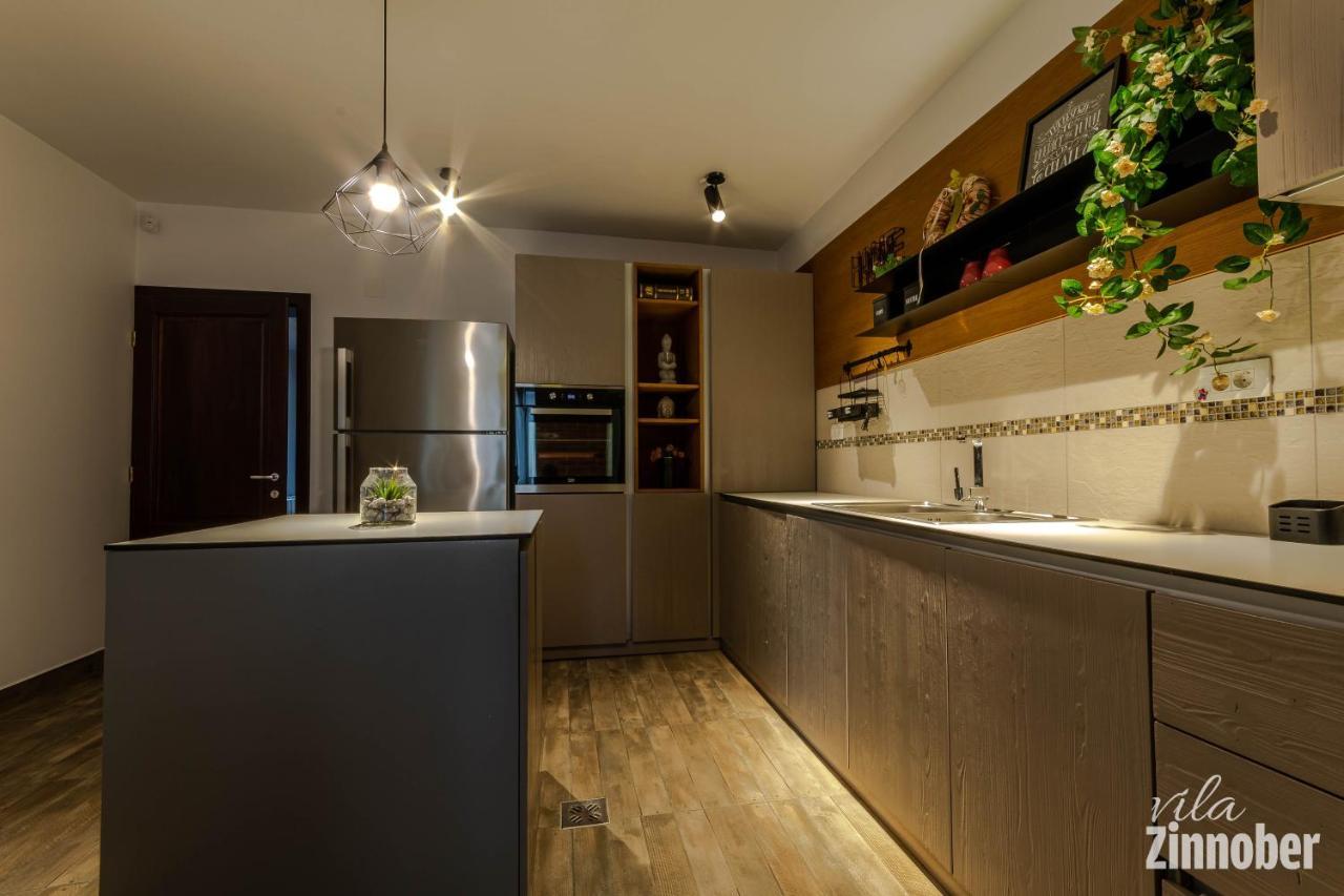 Vila Zinnober ブラショフ エクステリア 写真