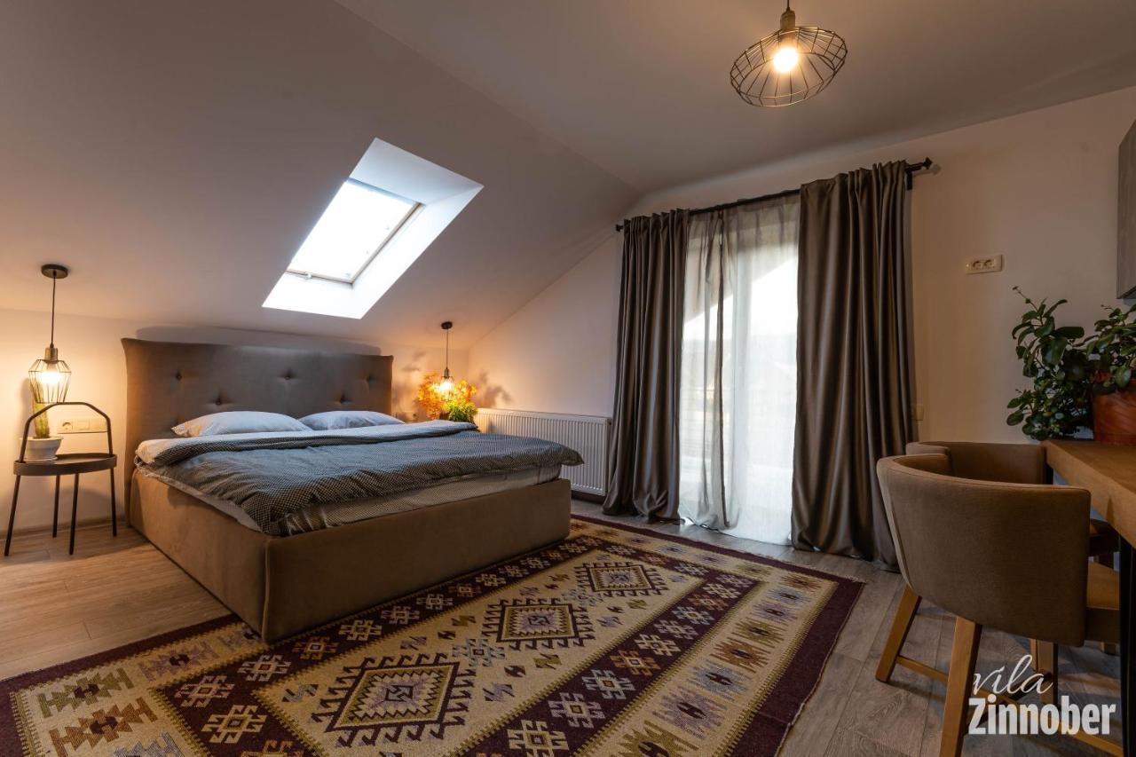 Vila Zinnober ブラショフ エクステリア 写真