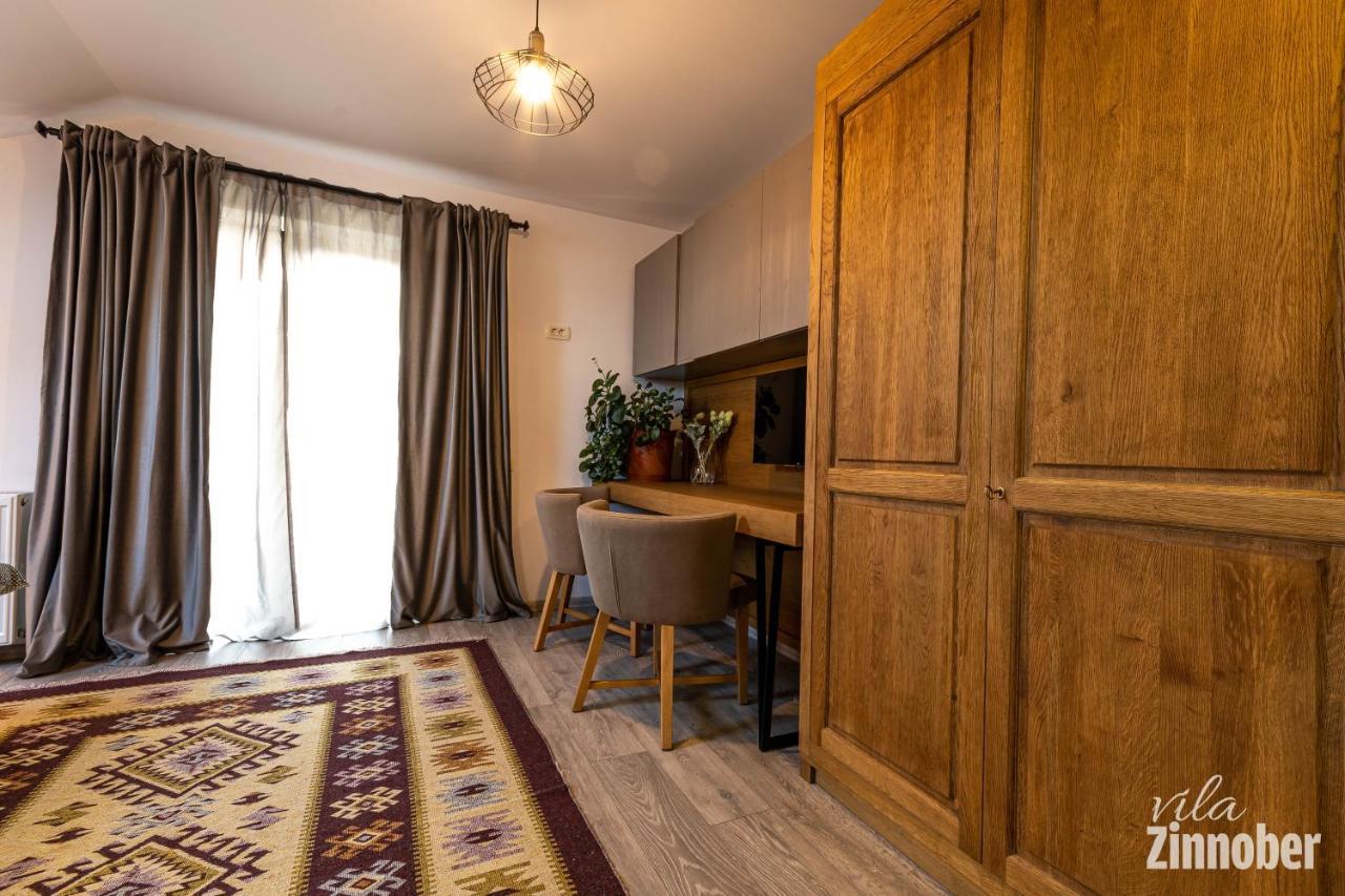 Vila Zinnober ブラショフ エクステリア 写真