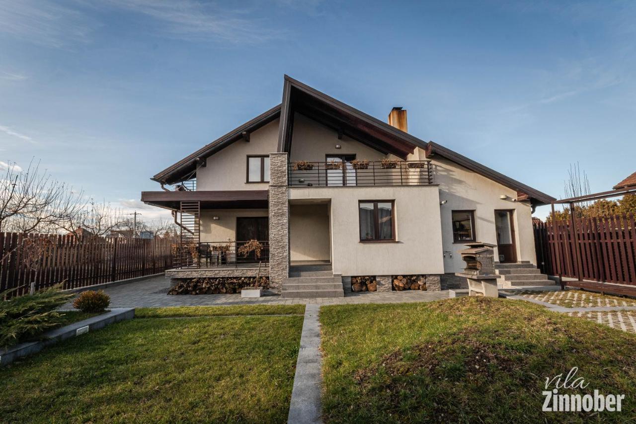 Vila Zinnober ブラショフ エクステリア 写真