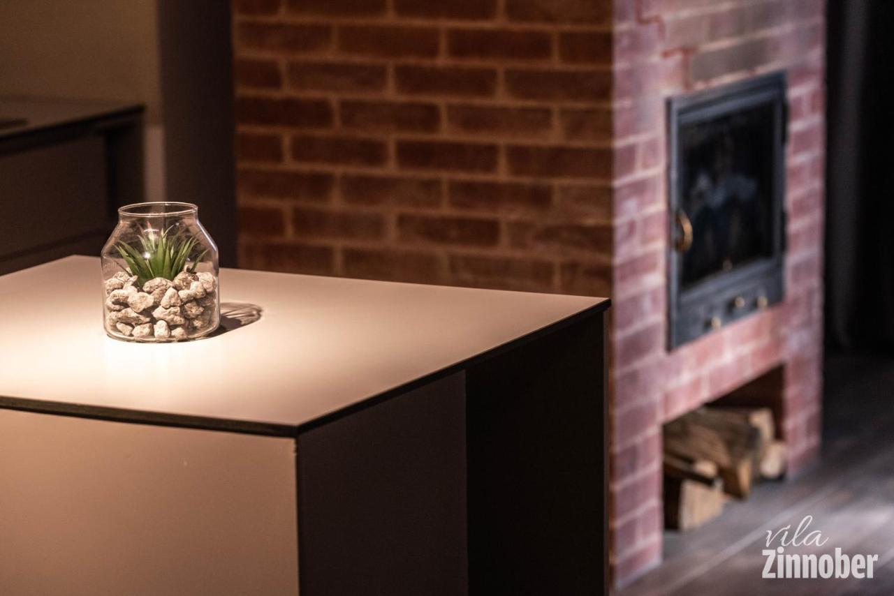 Vila Zinnober ブラショフ エクステリア 写真