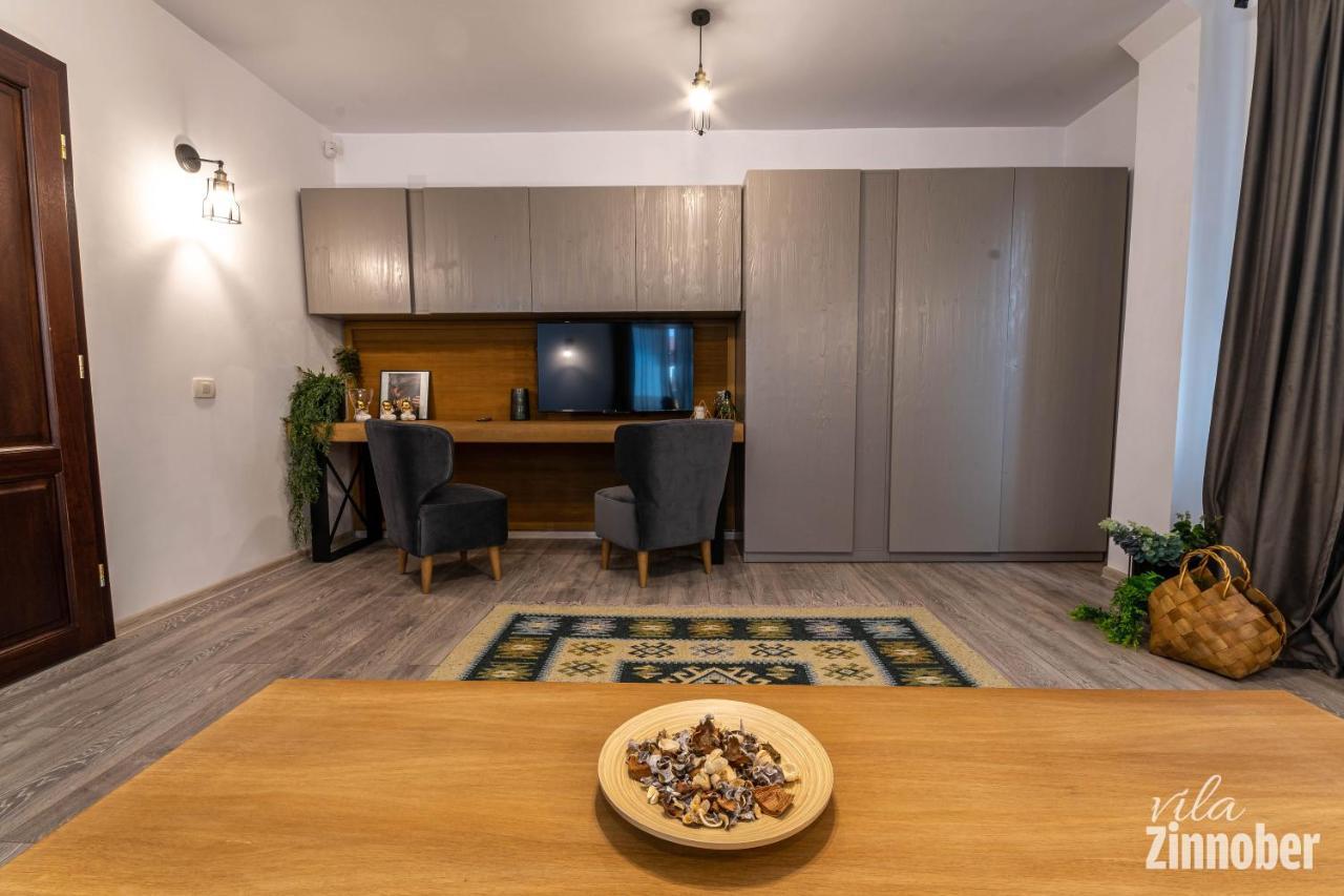 Vila Zinnober ブラショフ エクステリア 写真