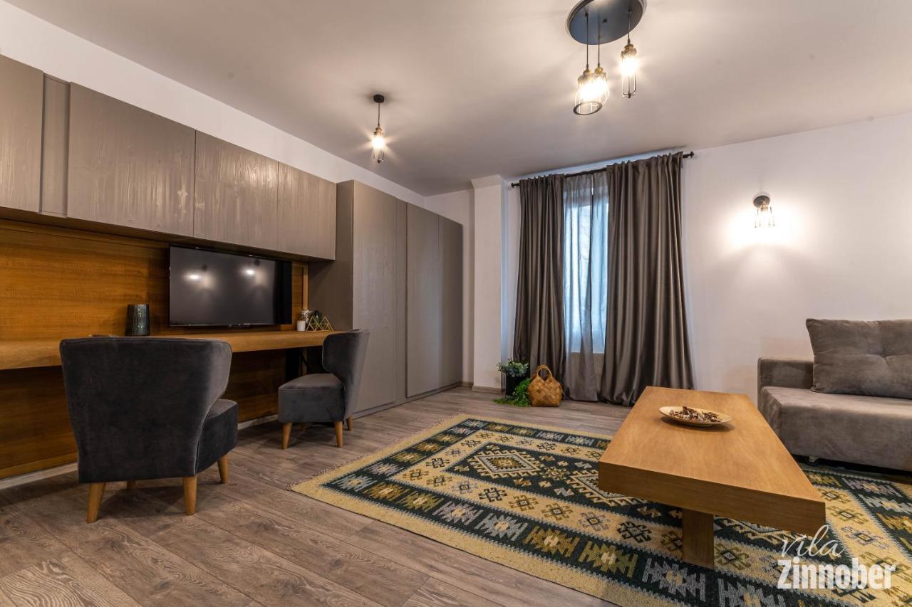 Vila Zinnober ブラショフ エクステリア 写真