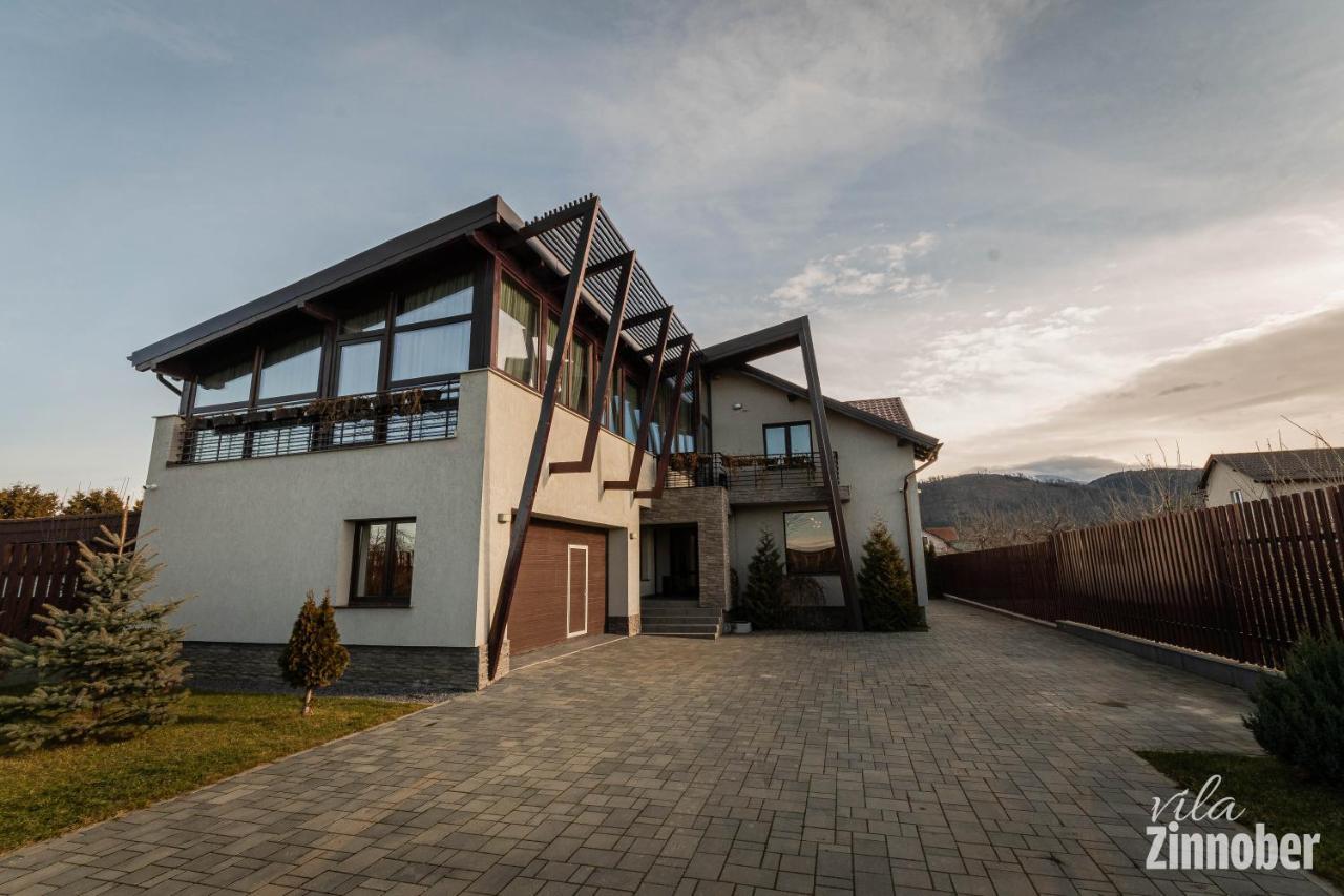 Vila Zinnober ブラショフ エクステリア 写真
