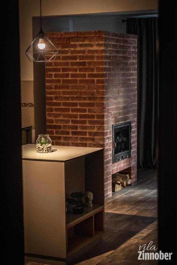 Vila Zinnober ブラショフ エクステリア 写真