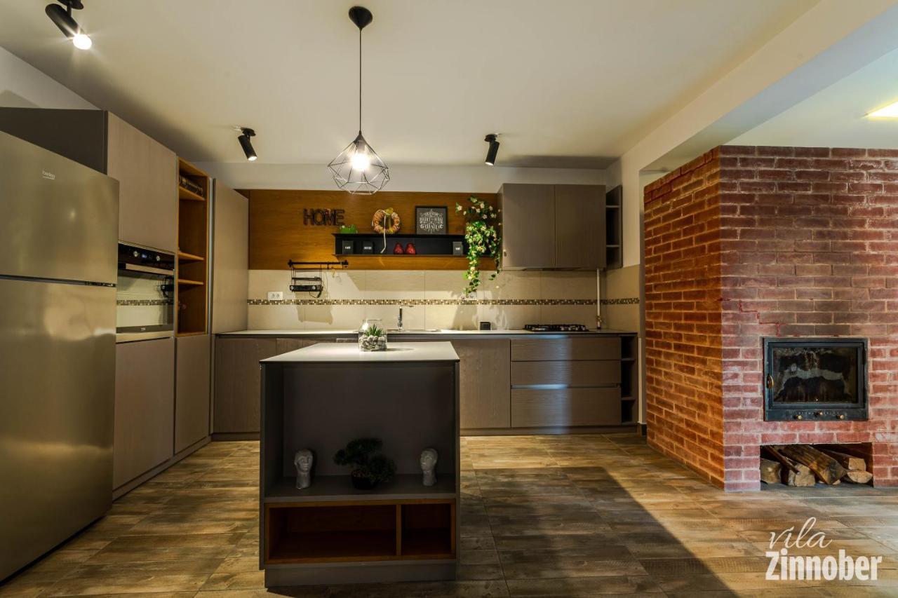 Vila Zinnober ブラショフ エクステリア 写真