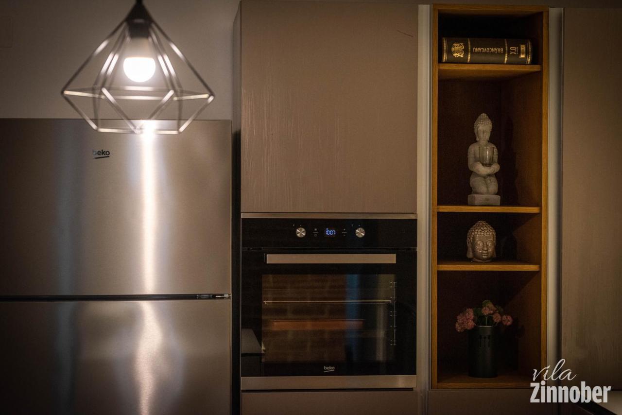 Vila Zinnober ブラショフ エクステリア 写真