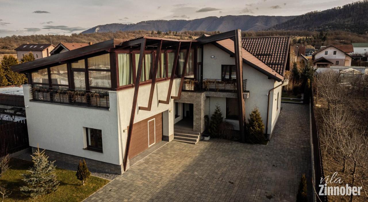 Vila Zinnober ブラショフ エクステリア 写真