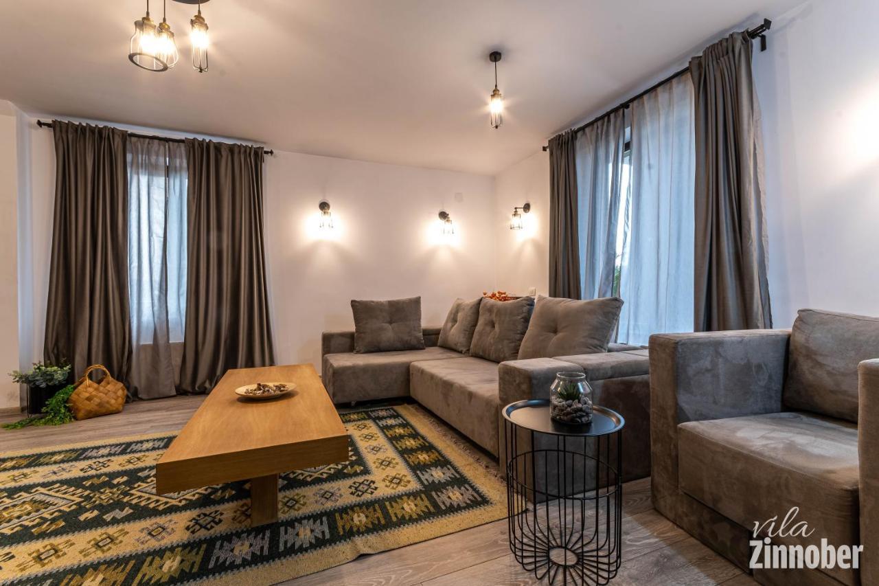 Vila Zinnober ブラショフ エクステリア 写真