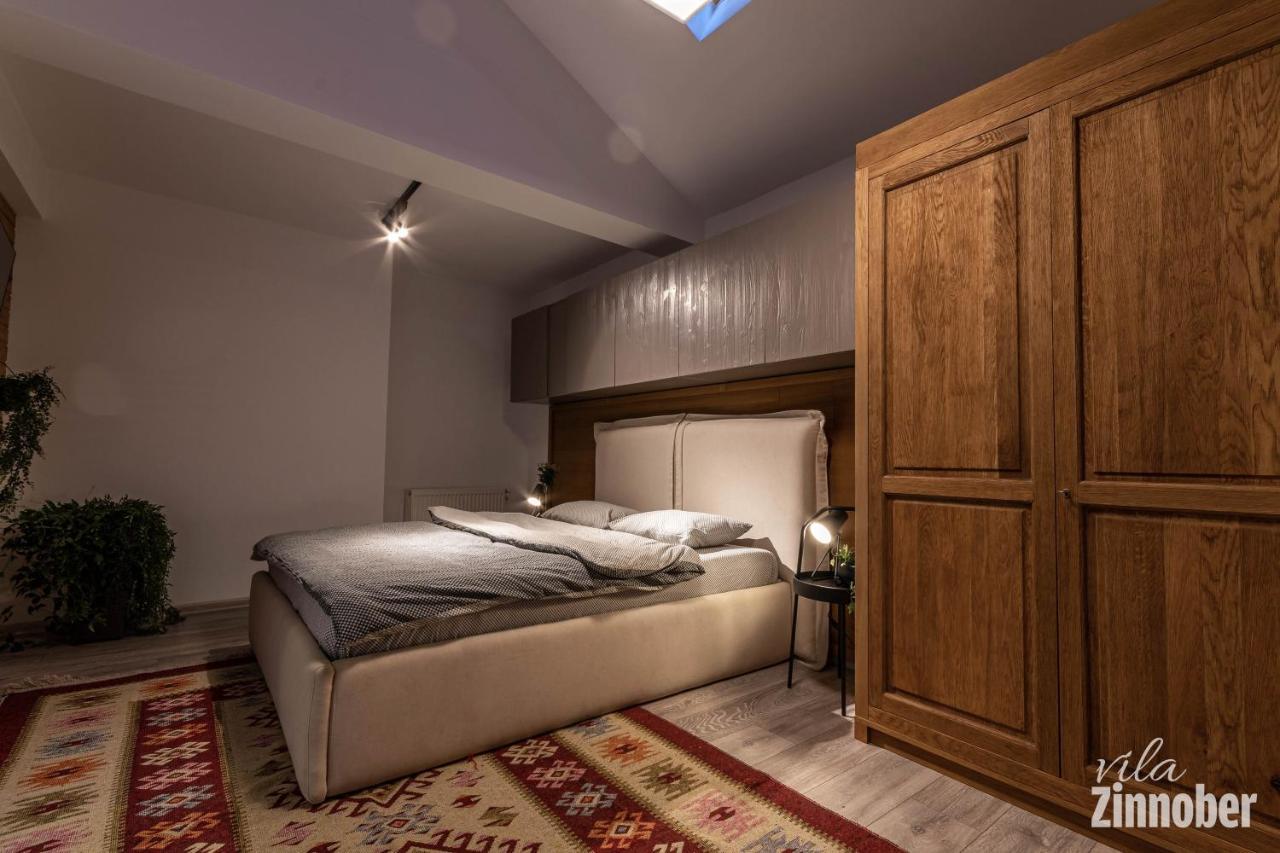 Vila Zinnober ブラショフ エクステリア 写真