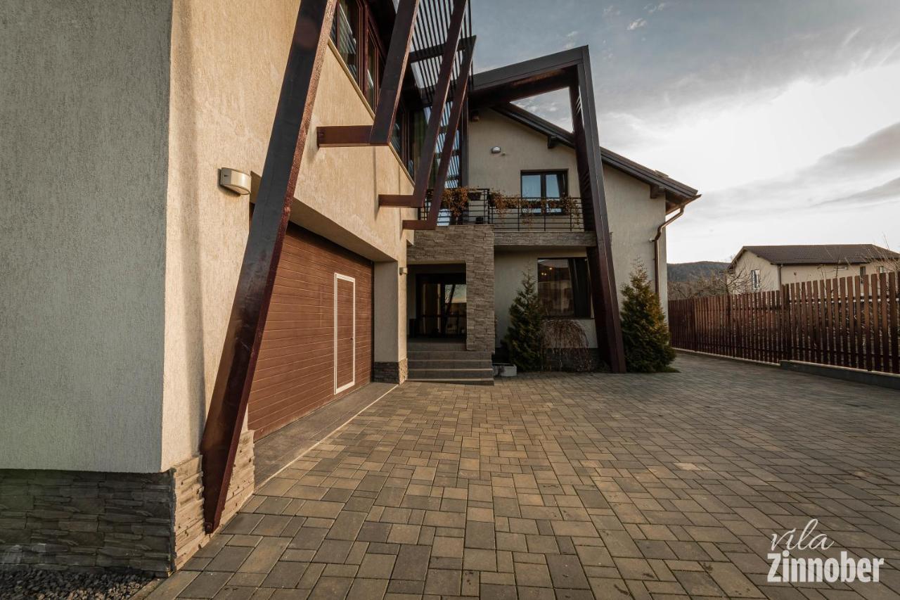 Vila Zinnober ブラショフ エクステリア 写真