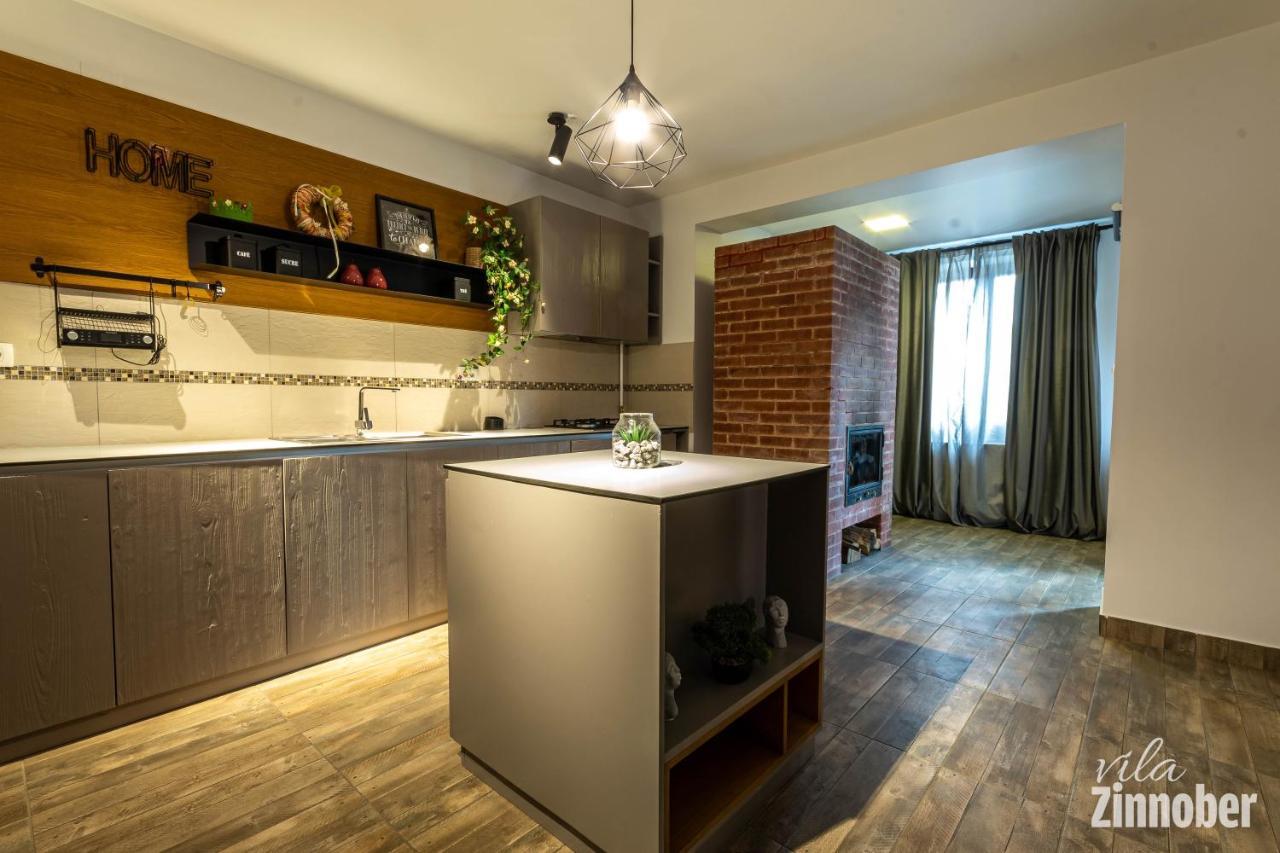 Vila Zinnober ブラショフ エクステリア 写真