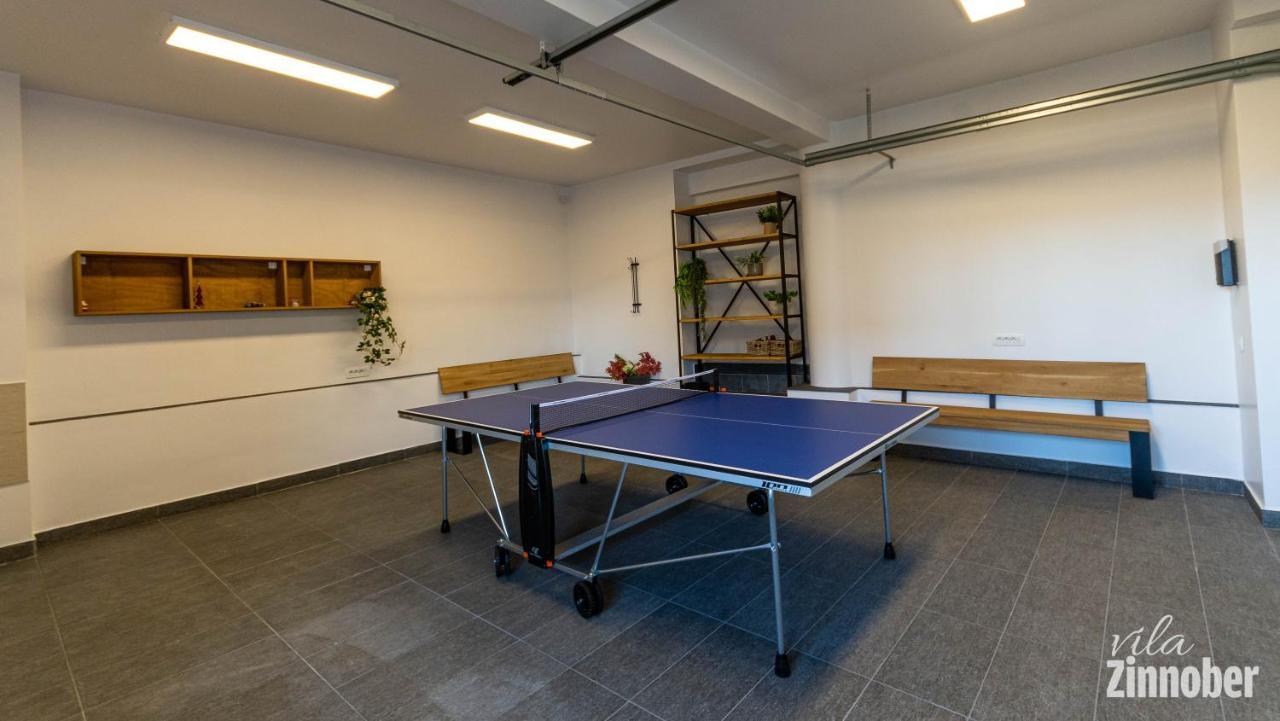 Vila Zinnober ブラショフ エクステリア 写真