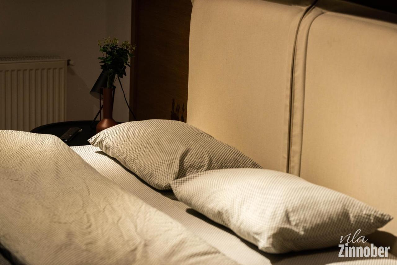 Vila Zinnober ブラショフ エクステリア 写真