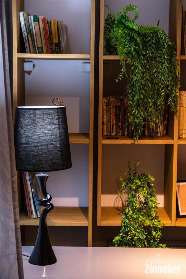 Vila Zinnober ブラショフ エクステリア 写真