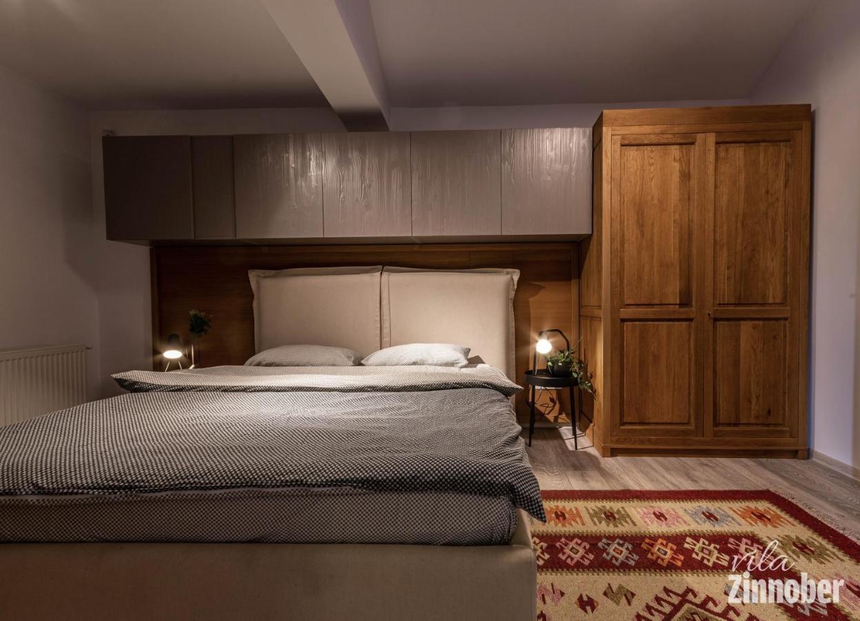 Vila Zinnober ブラショフ エクステリア 写真