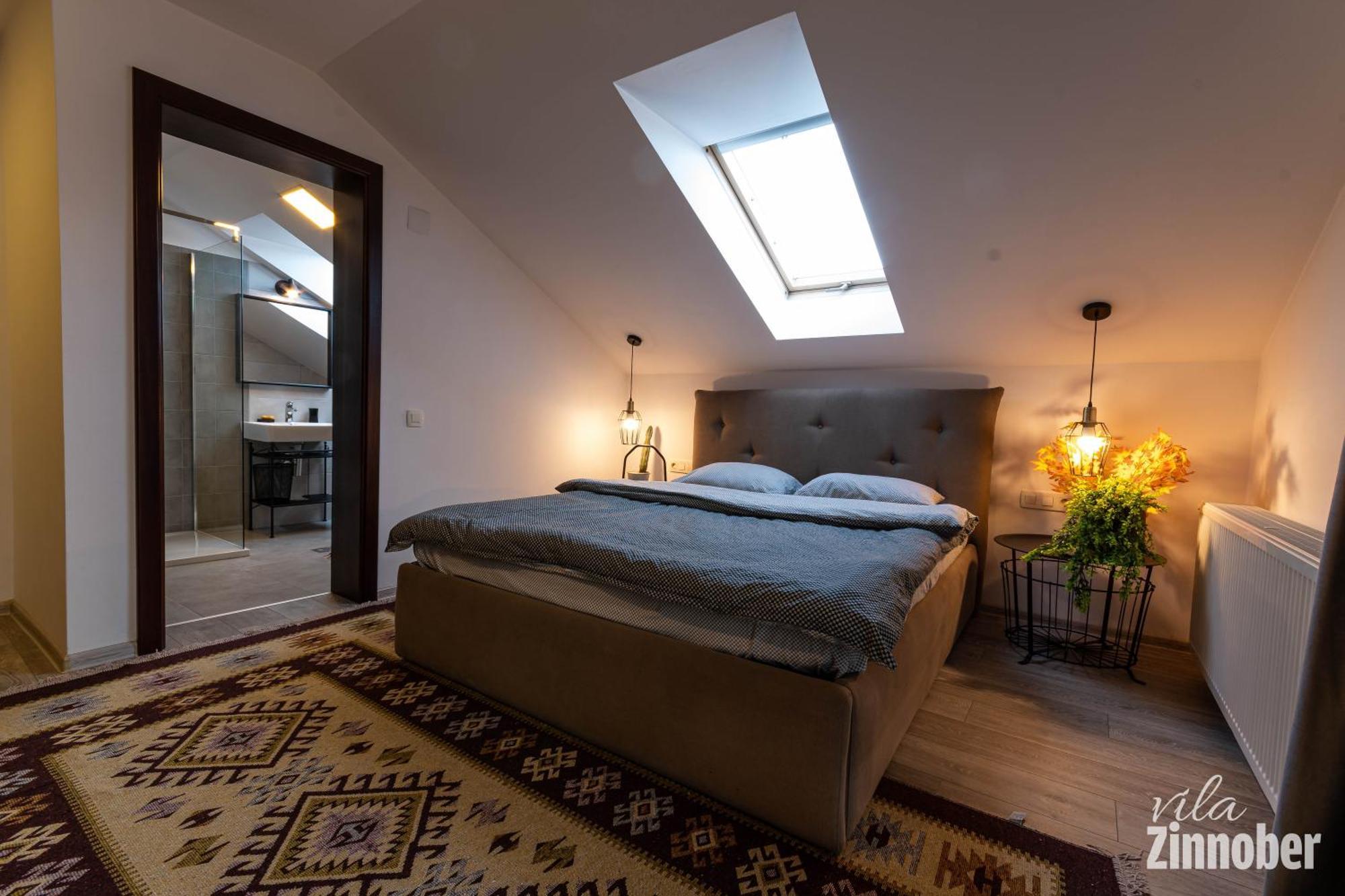 Vila Zinnober ブラショフ エクステリア 写真
